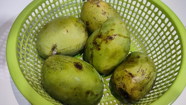 Mangga