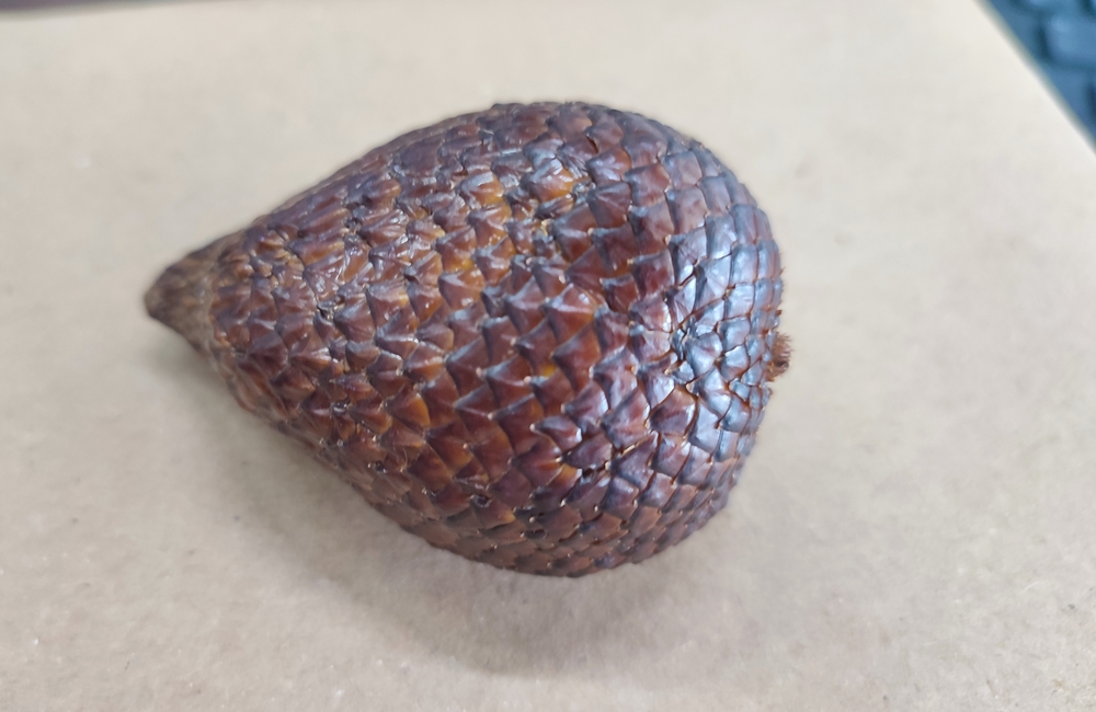 Salak