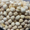 Kacang Arab