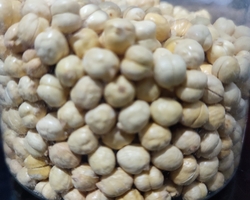 Kacang Arab