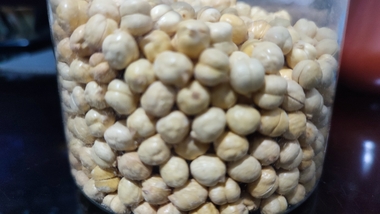 Kacang Arab