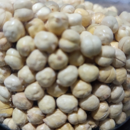 Kacang Arab