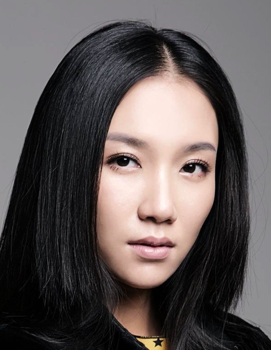 Li Wen Lin Biografi Wang Li Wen