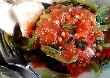 Plecing Kangkung