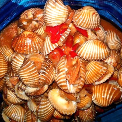 Kerang Dara Masak Pedas