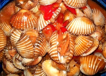 Kerang Dara Masak Pedas