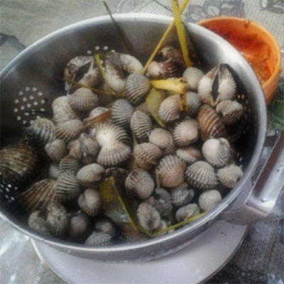 Kerang Bumbu Kari Kerang Bumbu Kari