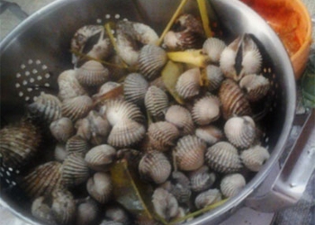 Kerang Bumbu Kari