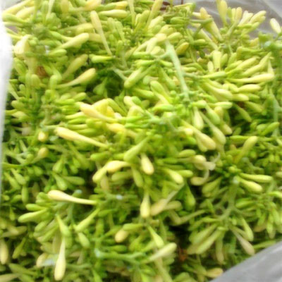 Sambal Goreng Bunga Pepaya Sambal Goreng Bunga Pepaya