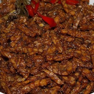 Kering Tempe