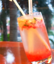 Berry Mojito