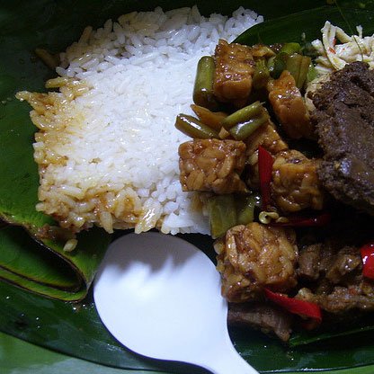 Nasi Begana