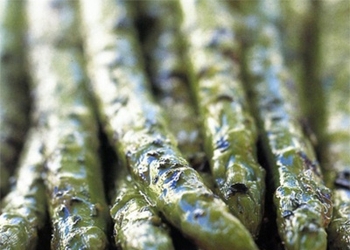 Asparagus Tusuk