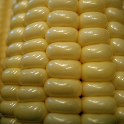 Jagung Gulung Jagung Gulung