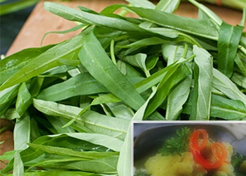 Opor Kangkung