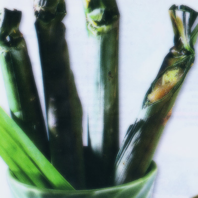 Pais Sagu Pisang Pais Sagu Pisang