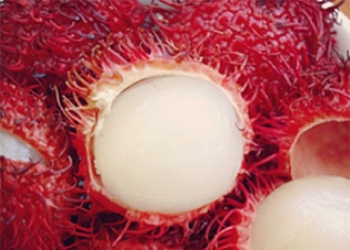 Jus Rambutan