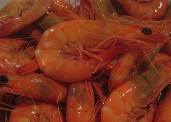 Nasi Kari Udang