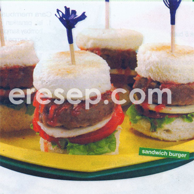 Sandwich Burger Sandwich Burger