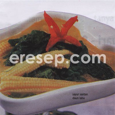 Sayur Santan Daun Labu