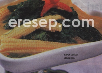 Sayur Santan Daun Labu