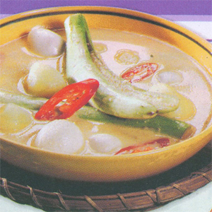 Sayur Terung Medan Sayur Terung Medan