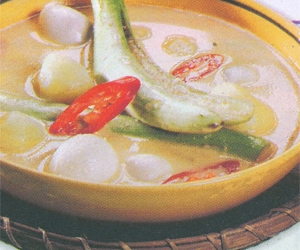 Sayur Terung Medan