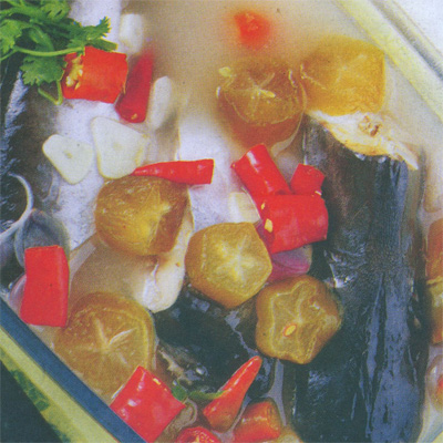 Tim Ikan Patin Tim Ikan Patin