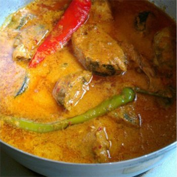 Gulai Ikan Tongkol