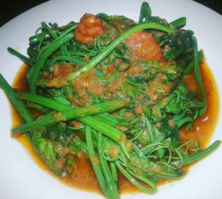 Tumis Sayur