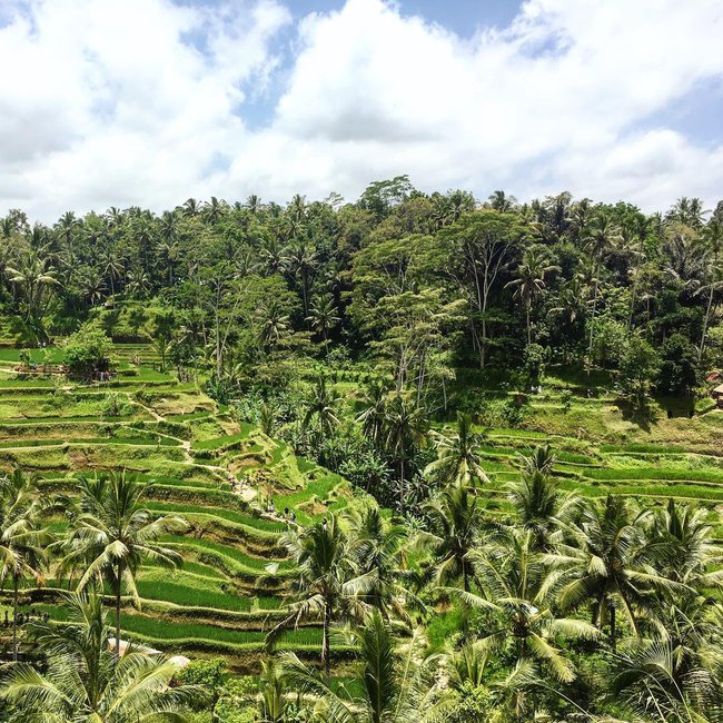 Wisata kuliner di Bali