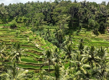 Wisata kuliner di Bali