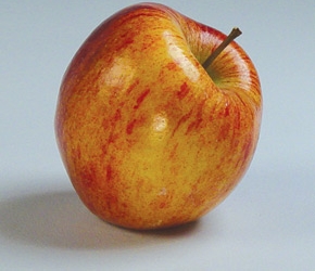 Apel