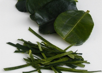 Daun jeruk