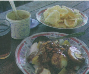 Doclang bogor