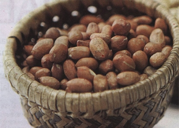 Mengolah Kacang Tanah