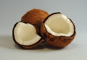 kelapa