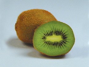 Kiwi