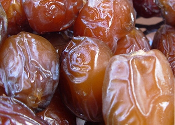 Kurma
