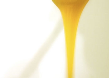 Madu Manuka