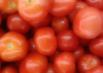 Tomat