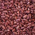 Kacang Merah: Lezat, Bergizi untuk Masakan Kreatif