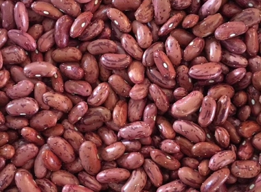 Kacang Merah: Lezat, Bergizi untuk Masakan Kreatif