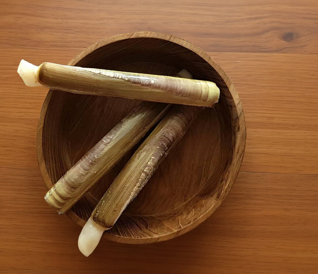 Kerang Bambu